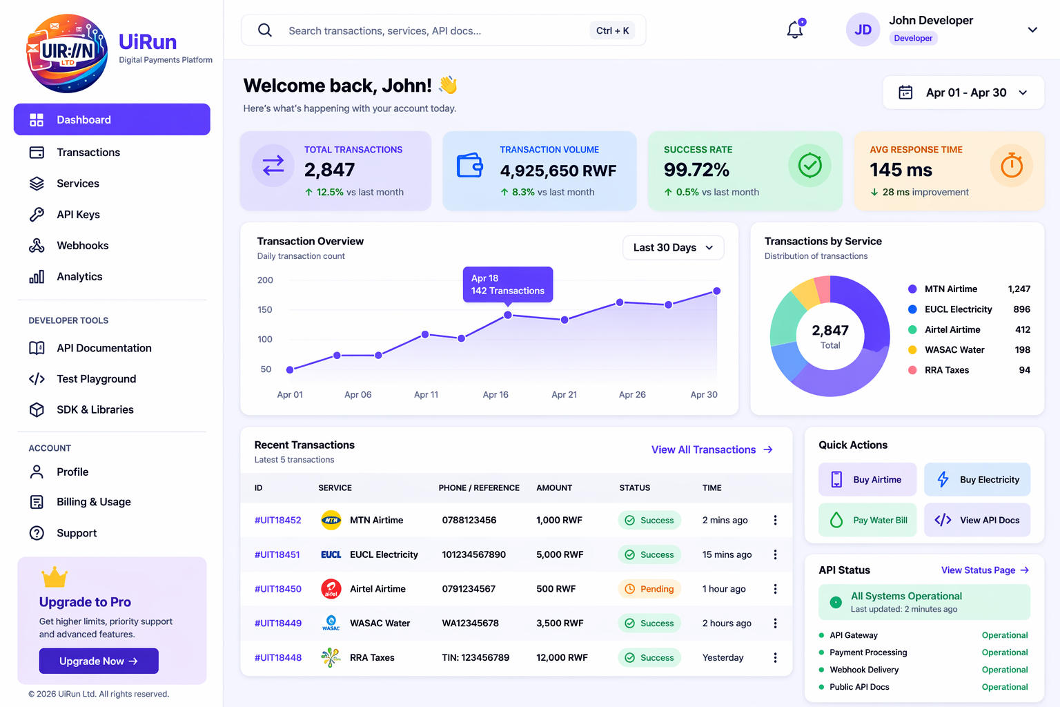 UiRun API Dashboard Preview